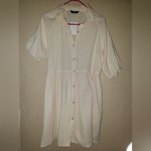 Cream Puff Sleeve Mini Dress